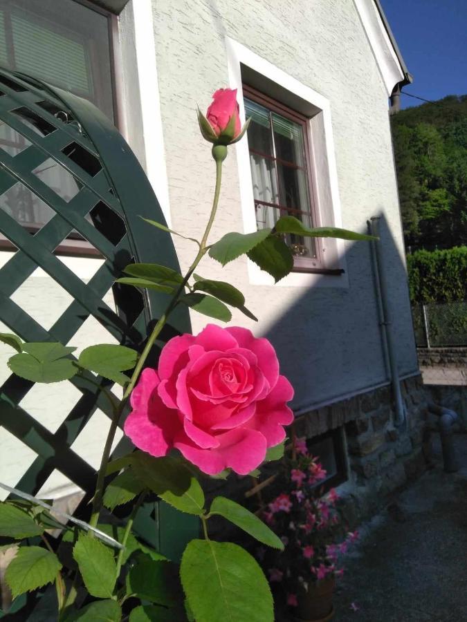 Zu Hause Am Bach Apartment Aggsbach Exterior photo